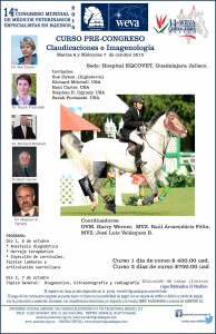 Poster Claudicaciones e imagen