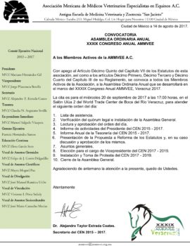 Convocatoria Asamblea 2017-2019