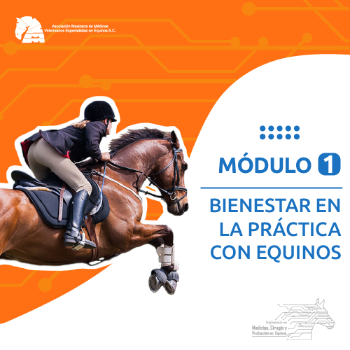 modulo_1