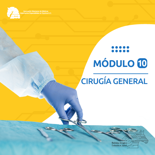 modulo_10-11