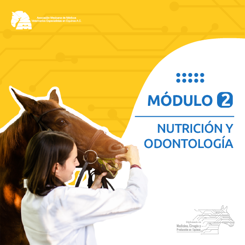 modulo_2