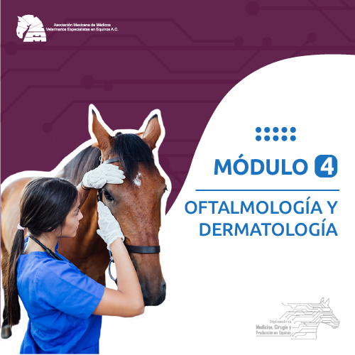 modulo_4