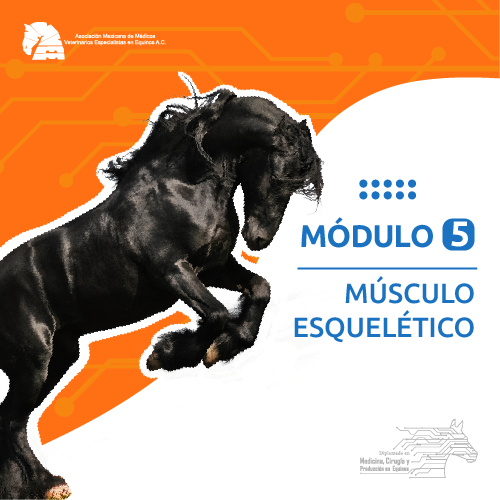 modulo_5