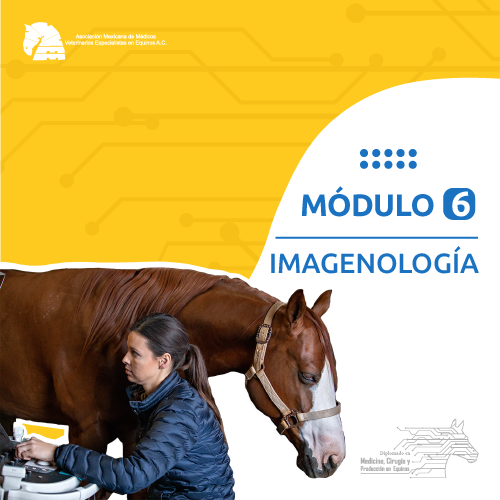 modulo_6 (1)