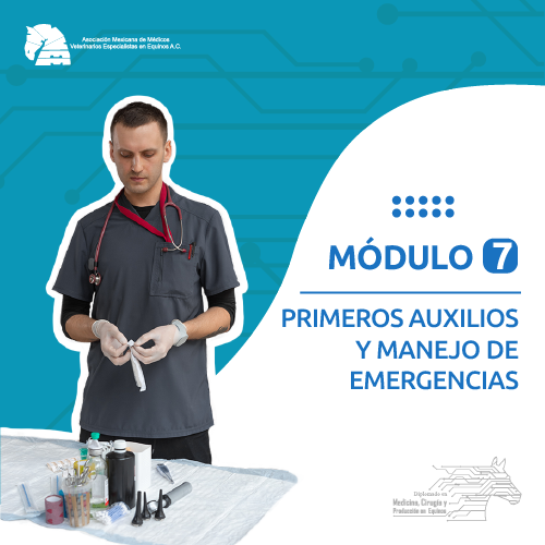 modulo_7