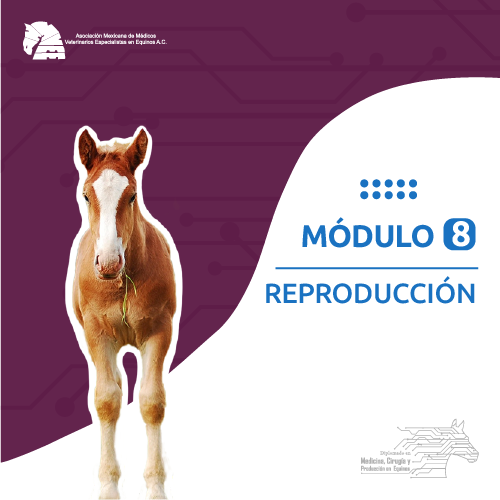 modulo_8