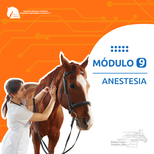 modulo_9