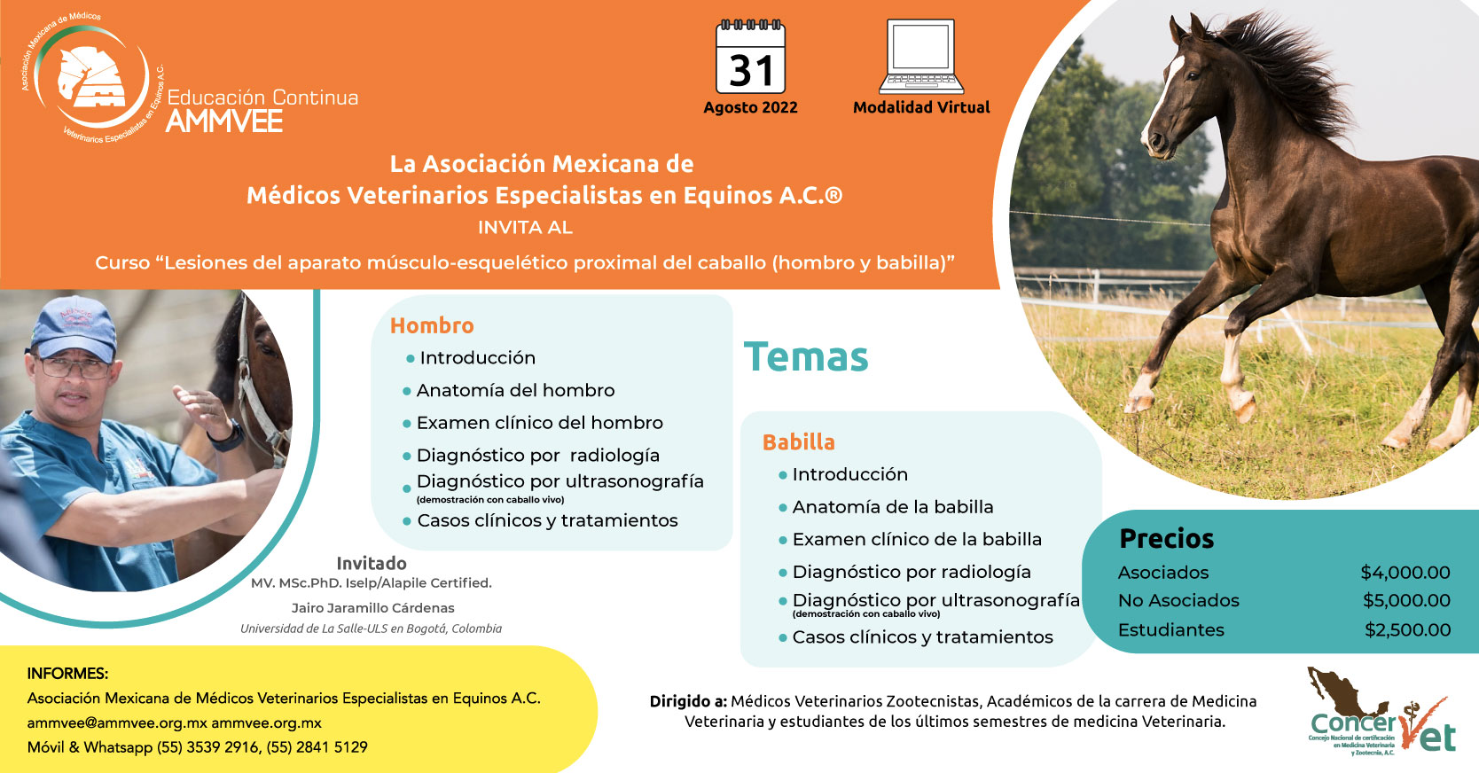 Cartel-de-AMMVEE_web