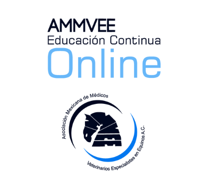Diplomado-Ammvee-scaled.webpw2400-2