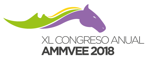 Congreso AMMVEE Monterrey XL