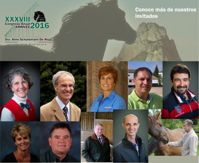 Invitados