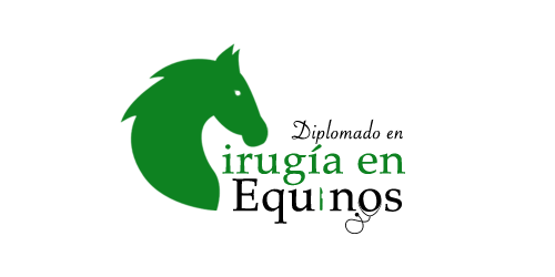 DIplomado Cirugía en Equinos DIplomado Cirugía en Equinos