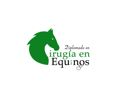 DIplomado Cirugía en Equinos