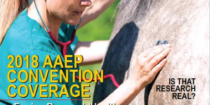 ezgif-1-0a78b226072d