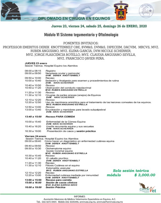 Diplimado modulo IV I