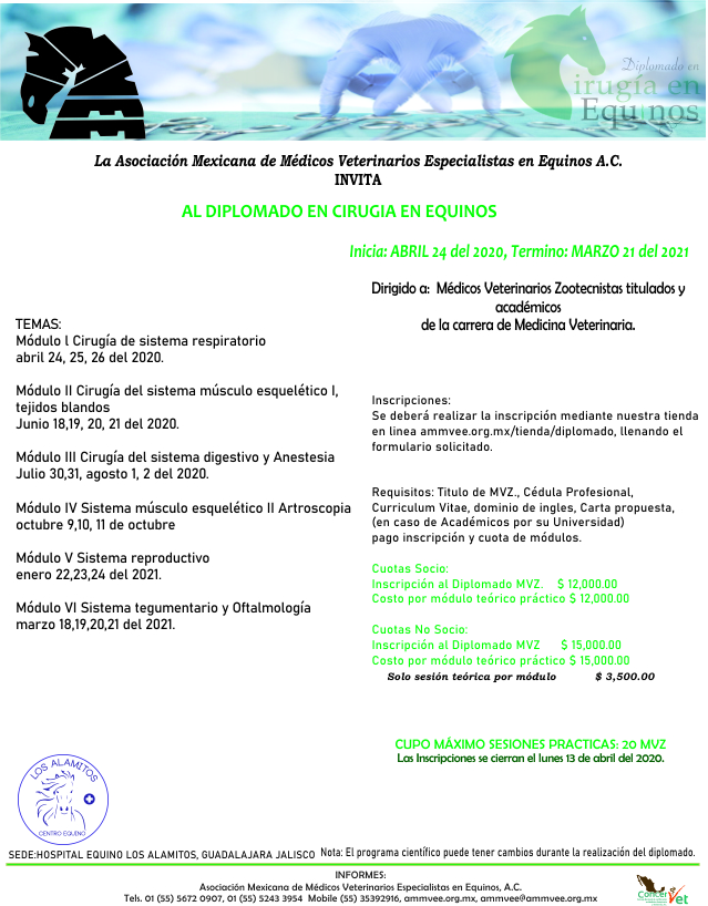 Poster diplomado 2020Difusion