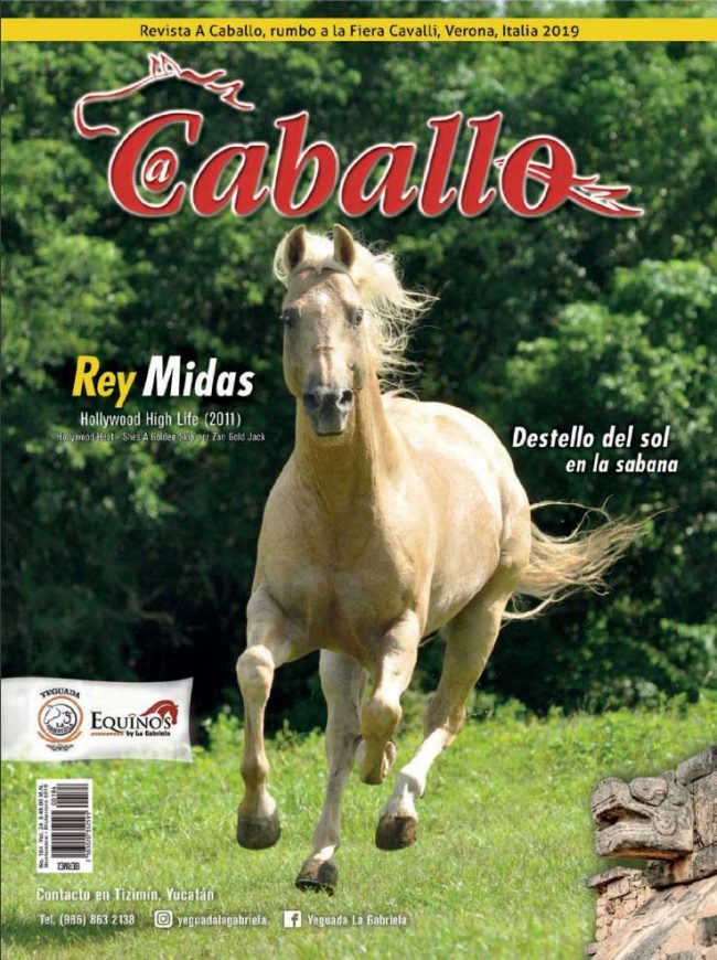 web_Captura-de-Pantalla-2020-02-11-a-la(s)-3.24.24-p. m.