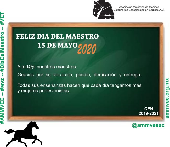 DiaDelMaestro1