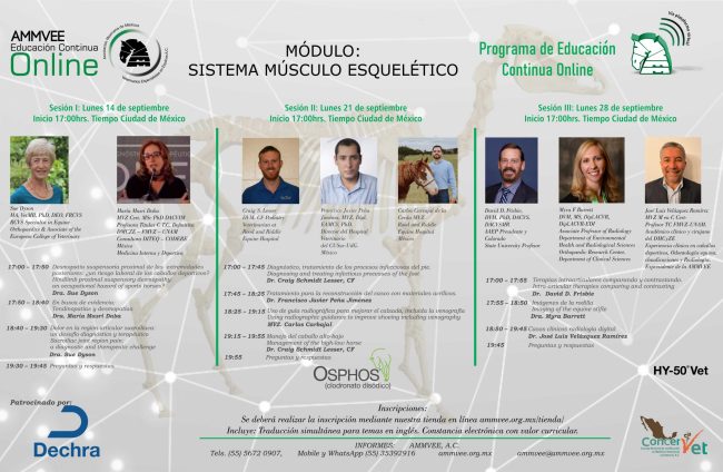 Flyer 3 sesiones