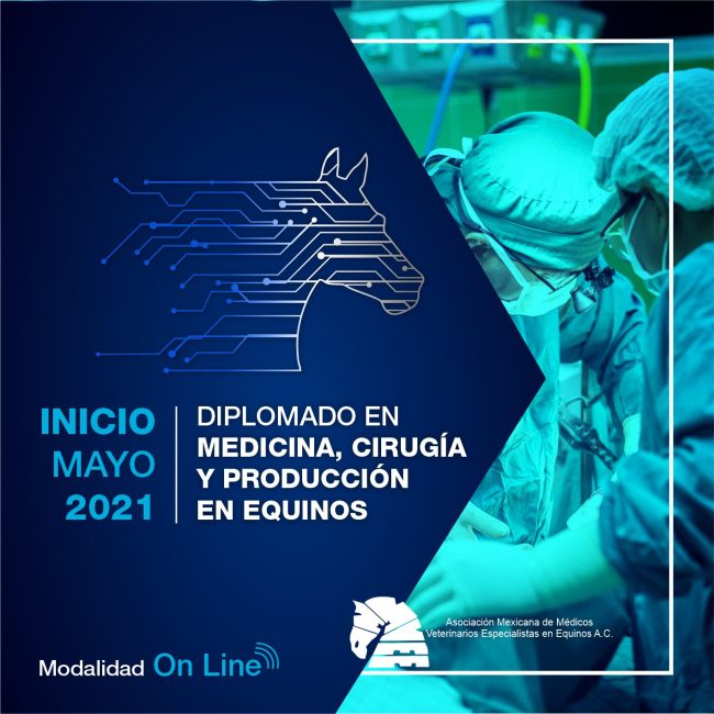 Post ModalidadOnLine