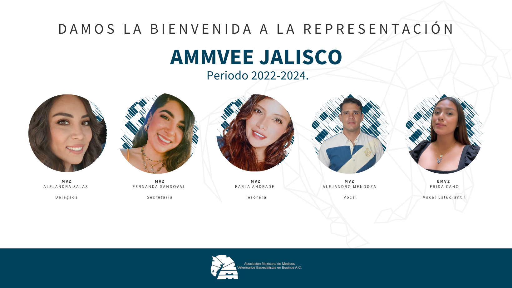 AMMVEEJALISCO