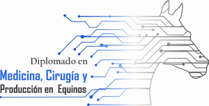 Logo-Diplomado-Ammvee Logo-Diplomado-Ammvee