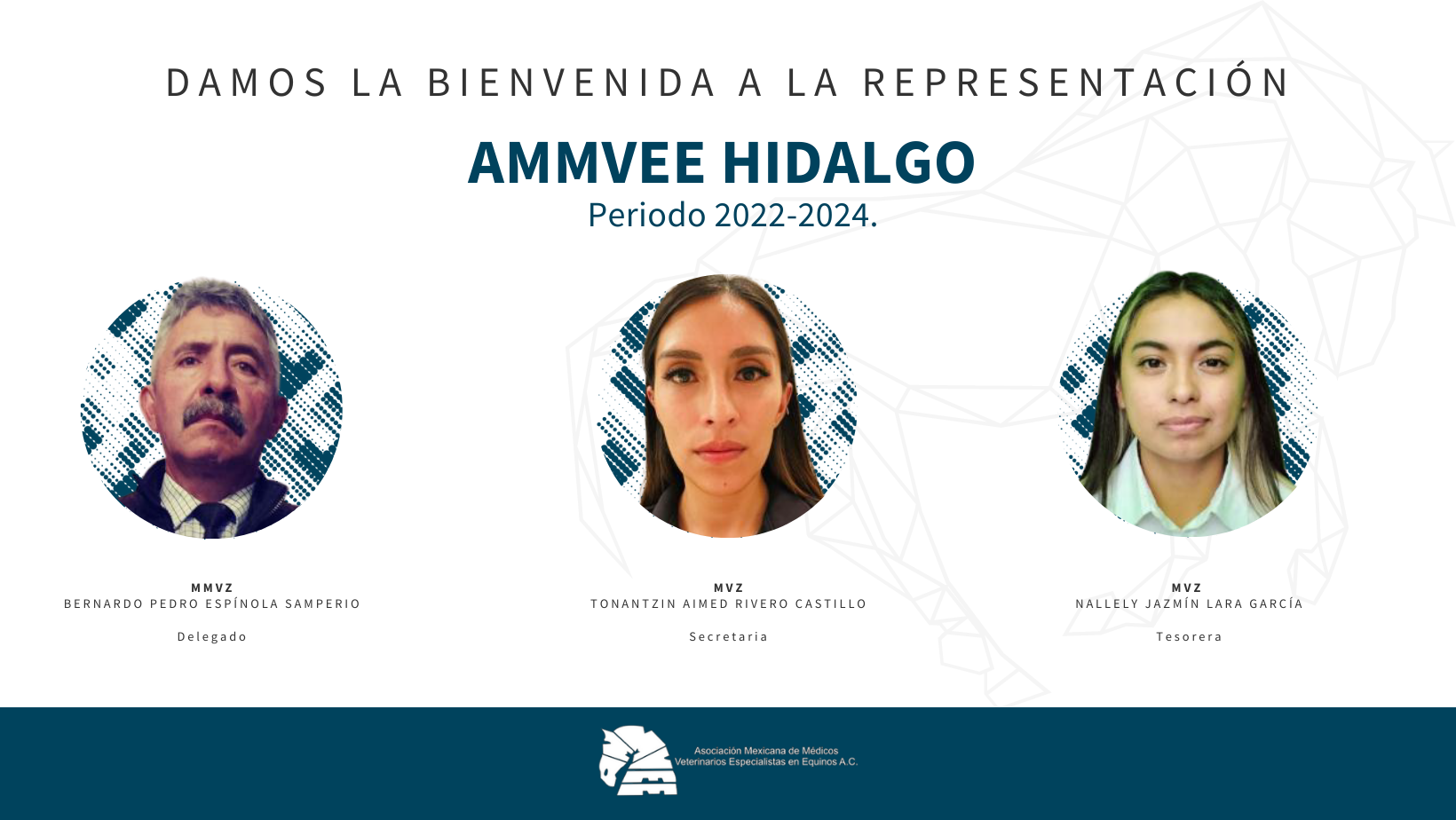 HIDALGO - AMMVEE - FB