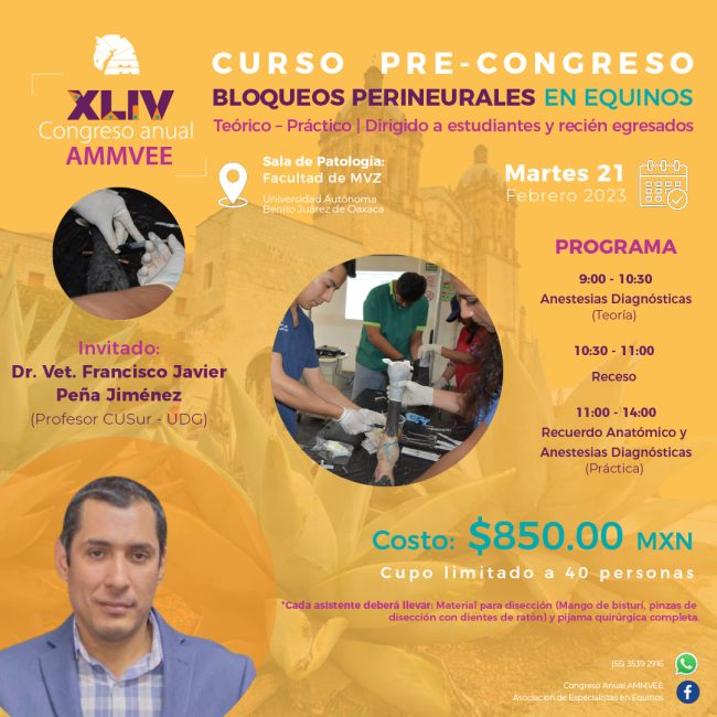 poster_bloqueosperineurales