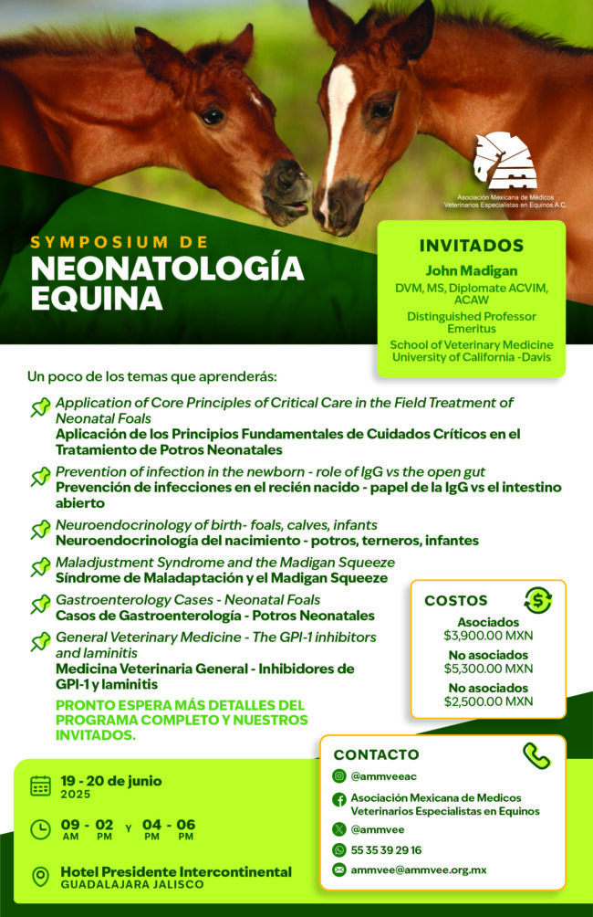 NEONATOLOGIA-EQUINA_FLYER_DIGITAL (1) (1)