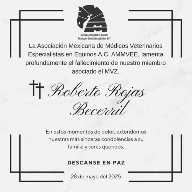Post +RobertoRojas