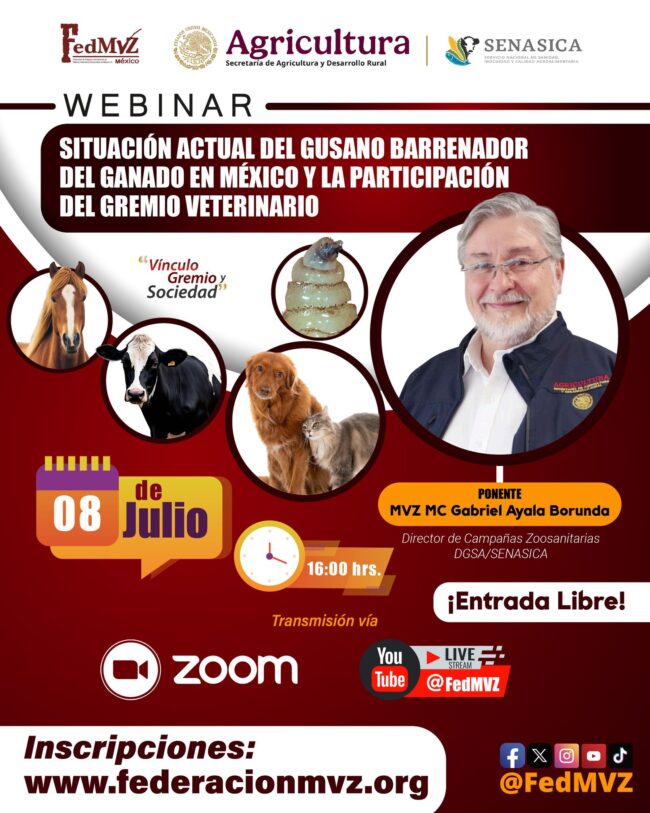 barrenador