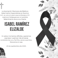 Post de Facebook Condolencia Simple Blanco y Negro (1)