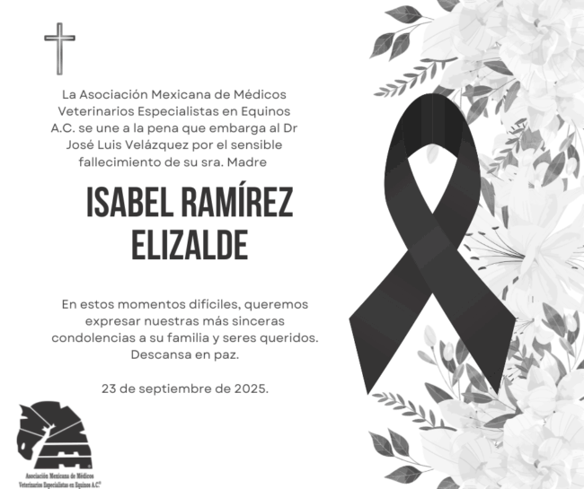 Post de Facebook Condolencia Simple Blanco y Negro (1)